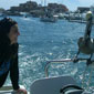 Karen & the Pelican
